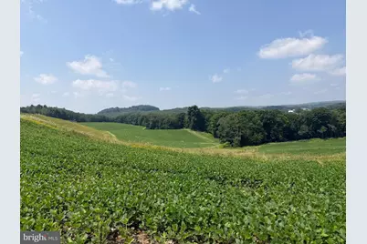 131.5+/- Acres At 361 Caney Valley Rd, Markleysburg, PA 15459 - Photo 47