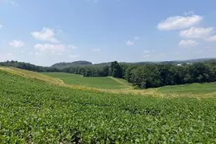 131 5+/- Acres At 361 Caney Valley Rd, Markleysburg, PA 15459 - Photo 47