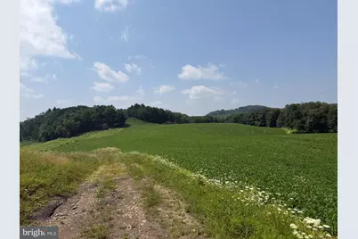 131.5+/- Acres At 361 Caney Valley Rd, Markleysburg, PA 15459 - Photo 49