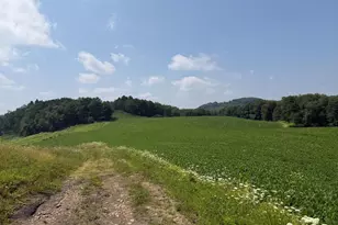 131 5+/- Acres At 361 Caney Valley Rd, Markleysburg, PA 15459 - Photo 49