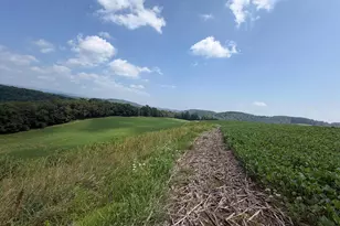 131 5+/- Acres At 361 Caney Valley Rd, Markleysburg, PA 15459 - Photo 31