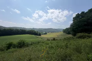 131 5+/- Acres At 361 Caney Valley Rd, Markleysburg, PA 15459 - Photo 41