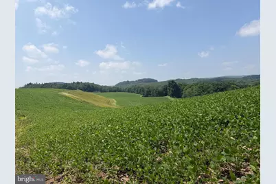 131.5+/- Acres At 361 Caney Valley Rd, Markleysburg, PA 15459 - Photo 45