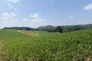 131 5+/- Acres At 361 Caney Valley Rd, Markleysburg, PA 15459 - Photo 45