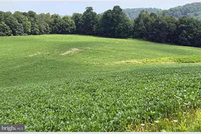 131.5+/- Acres At 361 Caney Valley Rd, Markleysburg, PA 15459 - Photo 39