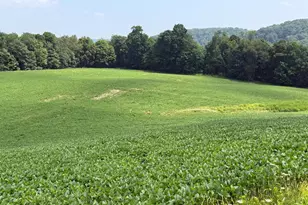 131 5+/- Acres At 361 Caney Valley Rd, Markleysburg, PA 15459 - Photo 39