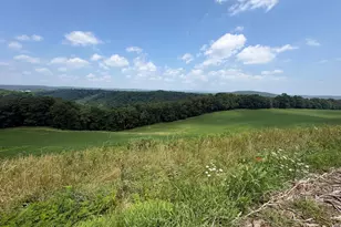 131 5+/- Acres At 361 Caney Valley Rd, Markleysburg, PA 15459 - Photo 35