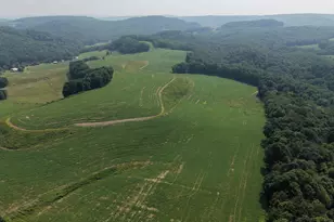 131 5+/- Acres At 361 Caney Valley Rd, Markleysburg, PA 15459 - Photo 23