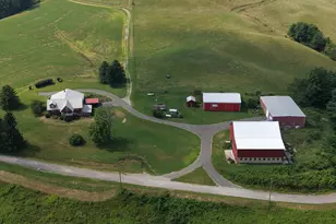 131 5+/- Acres At 361 Caney Valley Rd, Markleysburg, PA 15459 - Photo 17