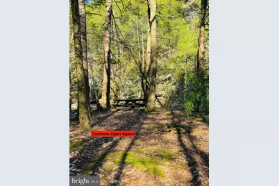 Lot: 42 Paradise Point, James Creek, PA 16657 - Photo 7