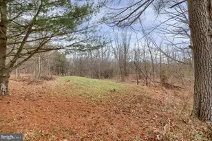 2716 Whitesel Rd, James Creek, PA 16657 - Photo 11