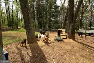 2523 Pennington Rd, Tyrone, PA 16686 - Photo 63