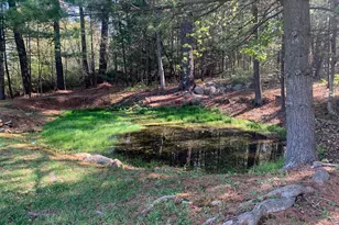 105 Water St, Cassville, PA 16623 - Photo 81