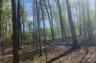 105 Water St, Cassville, PA 16623 - Photo 83