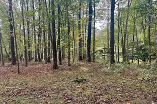 10328 Tanglewood Dr, Huntingdon, PA 16652 - Photo 73