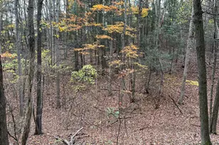 9766 Valley View Rd, Three Springs, PA 17264 - Photo 35