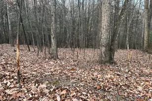 9766 Valley View Rd, Three Springs, PA 17264 - Photo 29