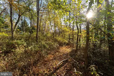 21103 Marlin Circle, Shade Gap, PA 17255 - Photo 41