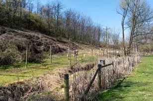 5859 Bethel Rd, Alexandria, PA 16611 - Photo 113