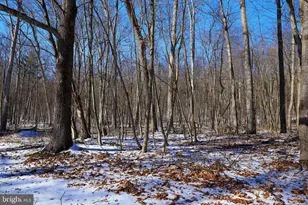 4464 Tram Rd, Petersburg, PA 16669 - Photo 17