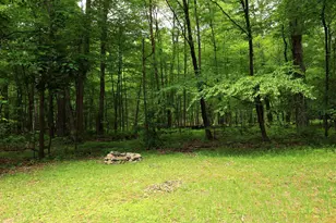 4464 Tram Rd, Petersburg, PA 16669 - Photo 45