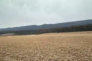 19642 Raystown, James Creek, PA 16657 - Photo 45