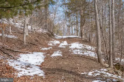 21697 View Drive, Three Springs, PA 17264 - Photo 53