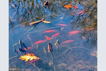 1807 Pine Ridge Road, James Creek, PA 16657 - Photo 77