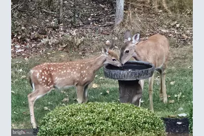 12946 Lakeland Drive, Hesston, PA 16647 - Photo 65