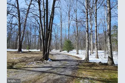 5545 Campfire Lane, Todd, PA 16685 - Photo 47