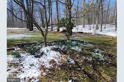 5545 Campfire Lane, Todd, PA 16685 - Photo 67