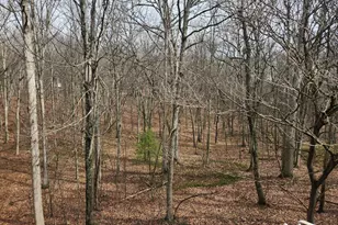5545 Campfire Ln, Todd, PA 16685 - Photo 81