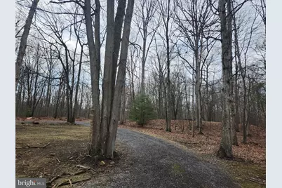 5545 Campfire Lane, Todd, PA 16685 - Photo 59
