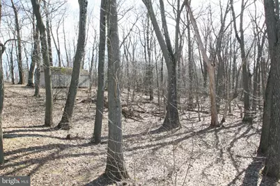 6448 Red Maple, Huntingdon, PA 16652 - Photo 7