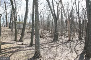 6448 Red Maple, Huntingdon, PA 16652 - Photo 7