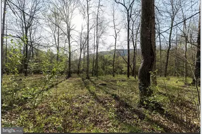 11016 Colt Drive, Shade Gap, PA 17255 - Photo 17