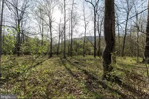 11016 Colt Dr, Shade Gap, PA 17255 - Photo 17