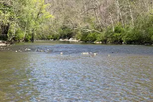 Tract 3: 144 28+/- Acres At 3581 Union Furnace Rd, Tyrone, PA 16686 - Photo 17