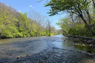 Tract 3: 144 28+/- Acres At 3581 Union Furnace Rd, Tyrone, PA 16686 - Photo 11