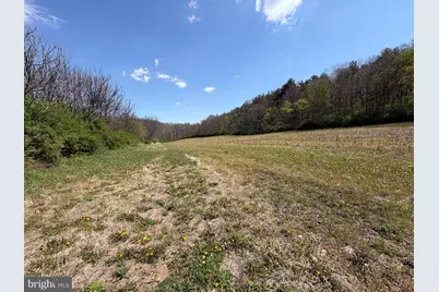 Tract 4: 39.99+/- Acres Union Furnace Rd, Tyrone, PA 16686 - Photo 5
