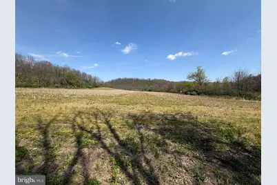 Tract 4: 39.99+/- Acres Union Furnace Rd, Tyrone, PA 16686 - Photo 3