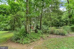 20253 Covered Bridge Rd, Orbisonia, PA 17243 - Photo 63