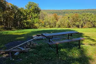 15321 Black Log Vly Rd, Orbisonia, PA 17243 - Photo 23