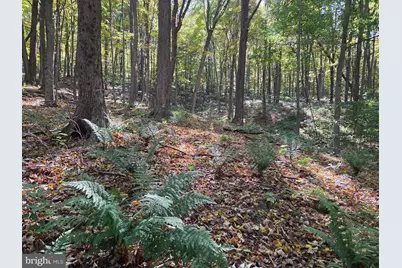 15321 Blacklog Valley Road, Orbisonia, PA 17243 - Photo 35