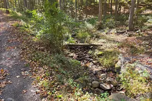 15321 Black Log Vly Rd, Orbisonia, PA 17243 - Photo 13