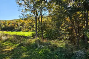 15321 Black Log Vly Rd, Orbisonia, PA 17243 - Photo 25