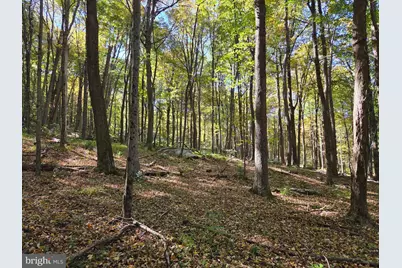 15321 Blacklog Valley Road, Orbisonia, PA 17243 - Photo 37