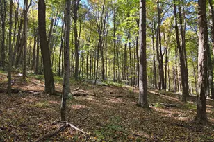 15321 Black Log Vly Rd, Orbisonia, PA 17243 - Photo 37