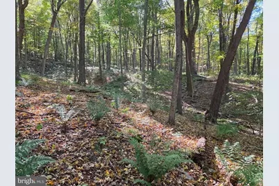 15321 Blacklog Valley Road, Orbisonia, PA 17243 - Photo 33
