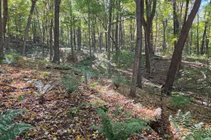 15321 Black Log Vly Rd, Orbisonia, PA 17243 - Photo 33